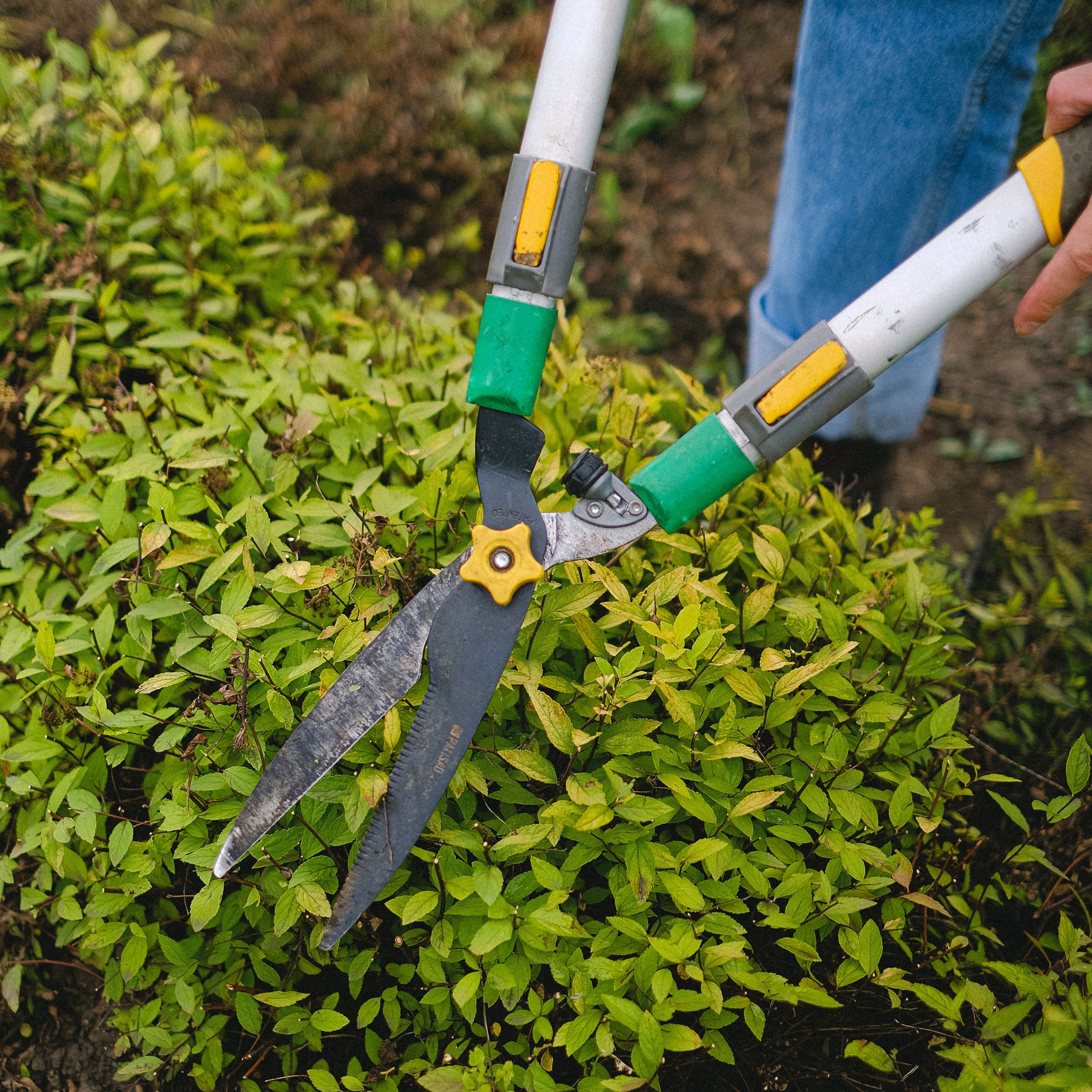 Gardening & Lawn Care
