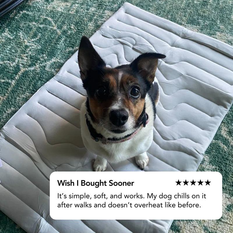 PawFroste Cooling Mat for Dogs UK