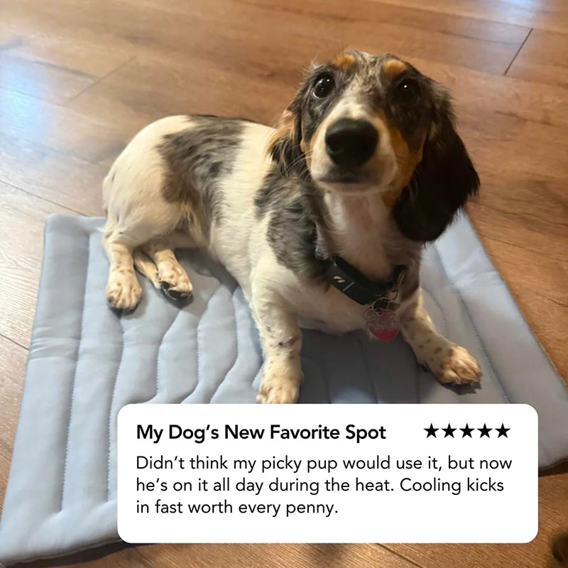 PawFroste Cooling Mat for Dogs UK