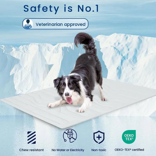 PawFroste Cooling Mat for Dogs UK