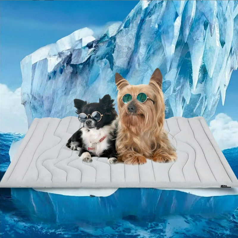 PawFroste Cooling Mat for Dogs UK