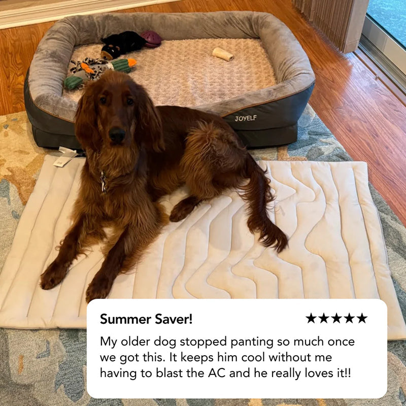 PawFroste Cooling Mat for Dogs UK