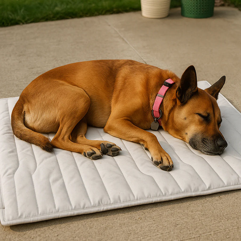 PawFroste Cooling Mat for Dogs UK