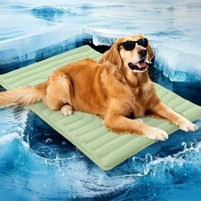 PawFroste Cooling Mat for Dogs UK