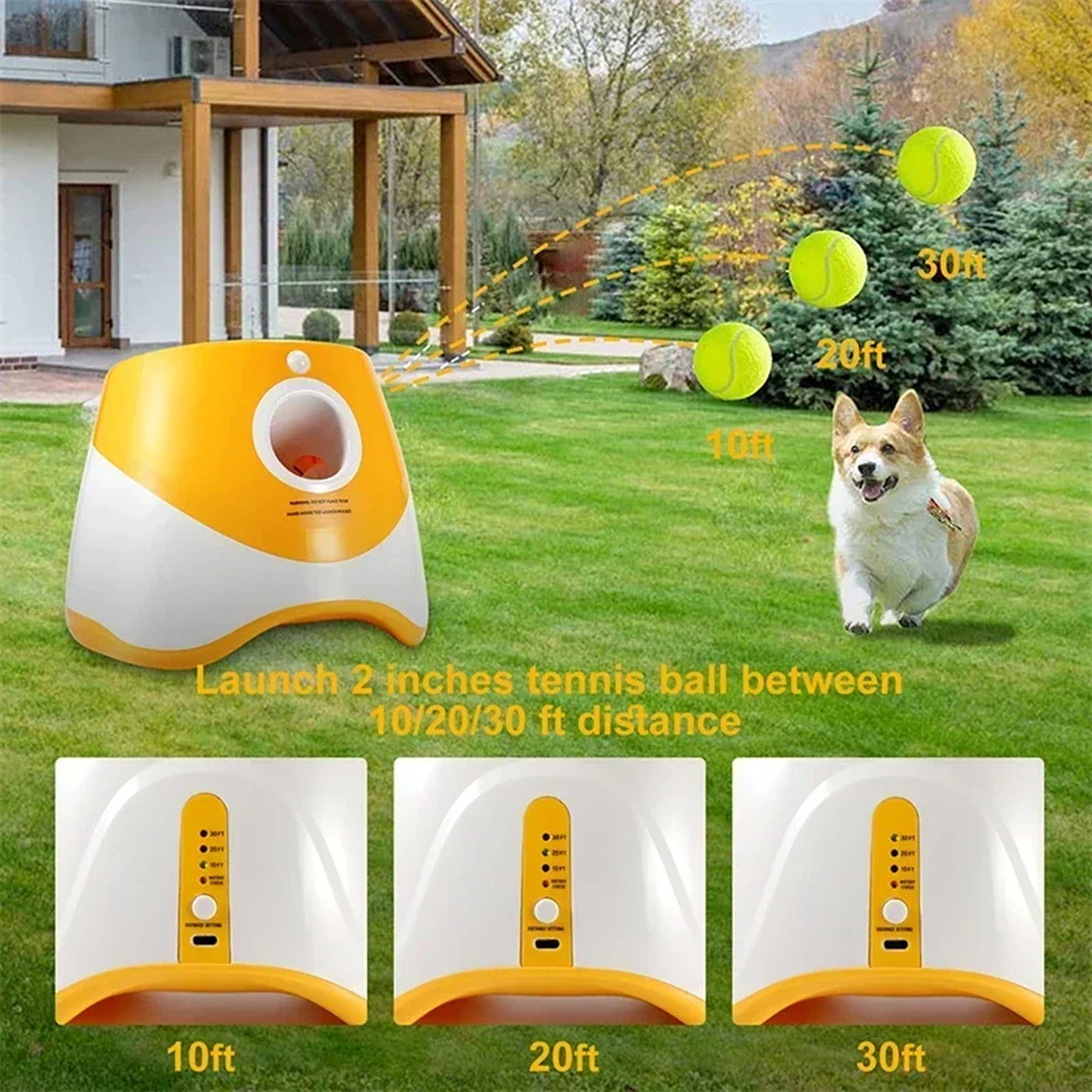 BalopRush