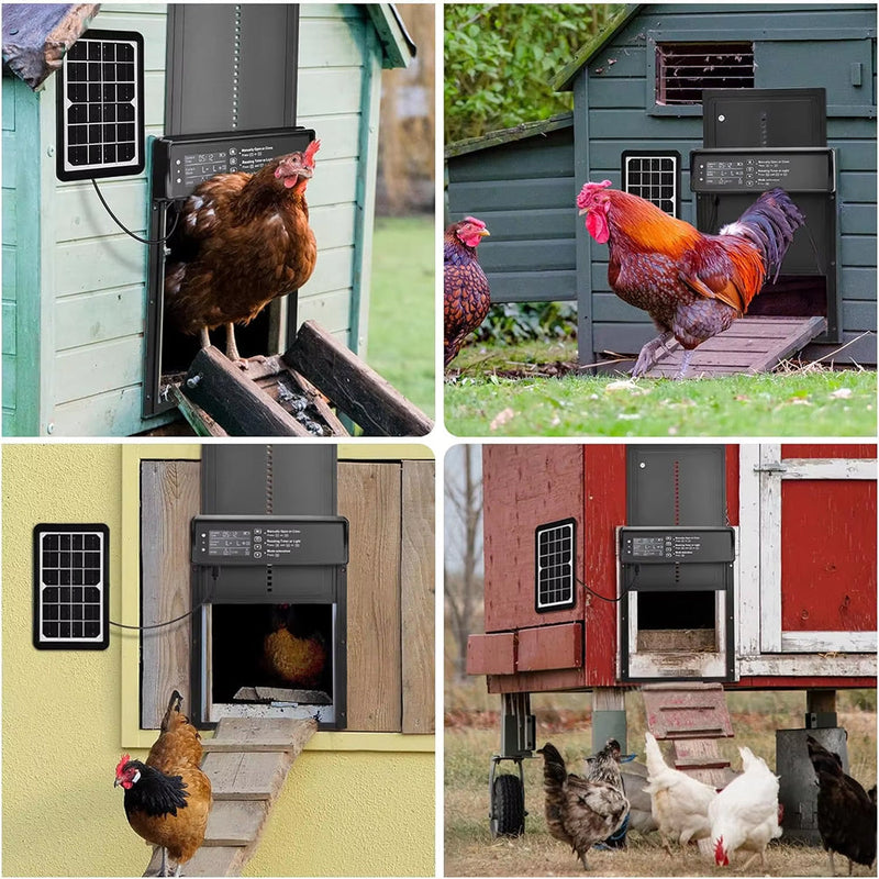 ChicxGate Solar Chicken Coop Door