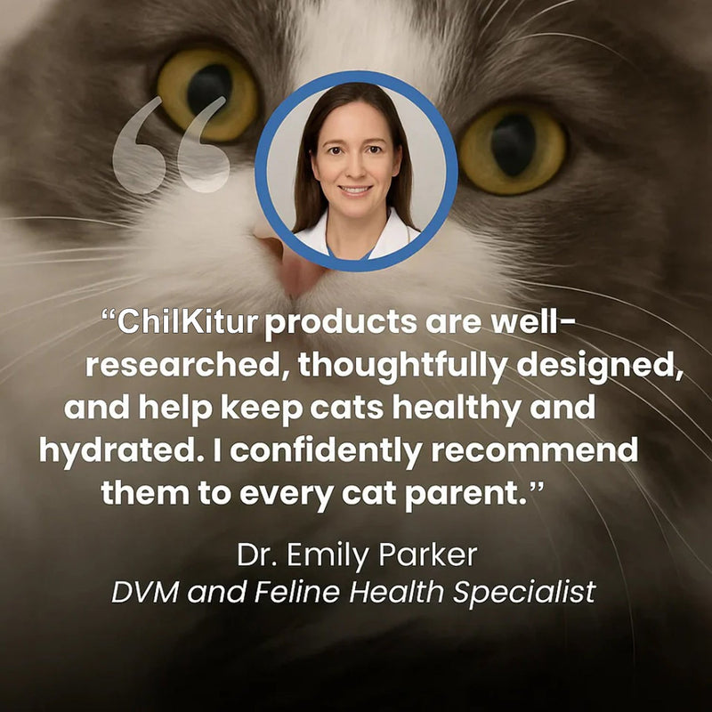 ChilKitur Cat Cooling Mat