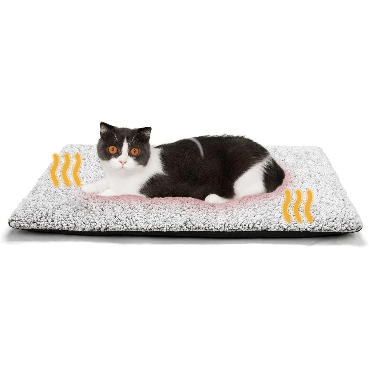 CozixCat