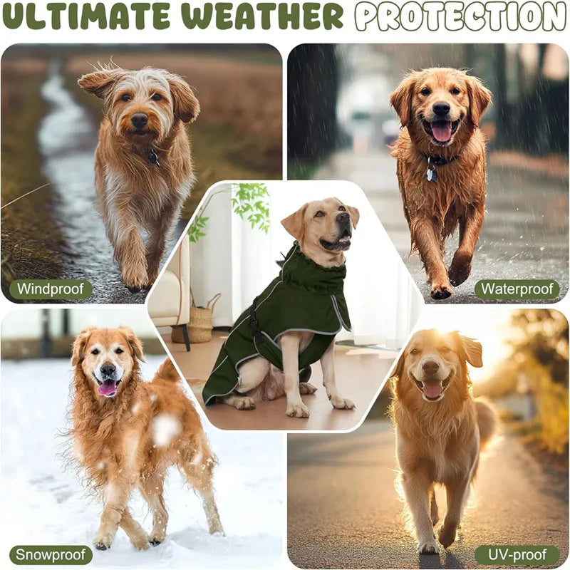 RainoTail Dog Raincoat