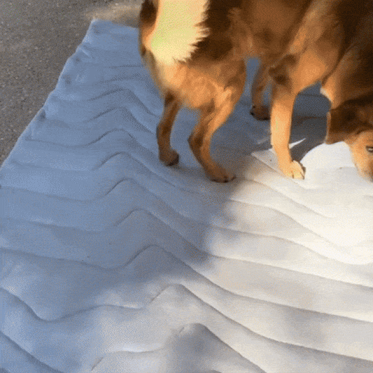 PawFroste Dog Cooling Mat