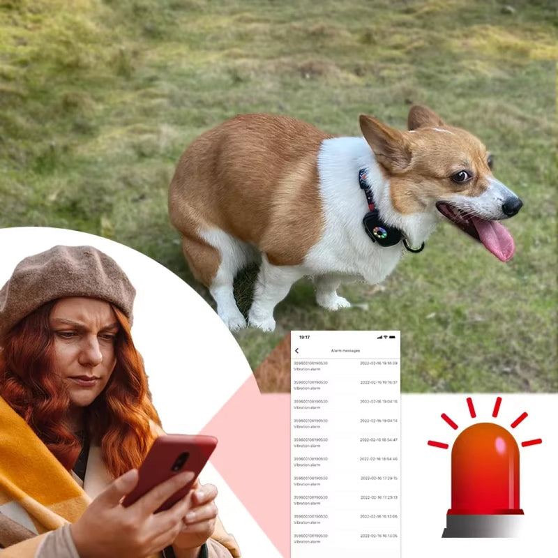 DogFenly Dog Tracker Without Subscription