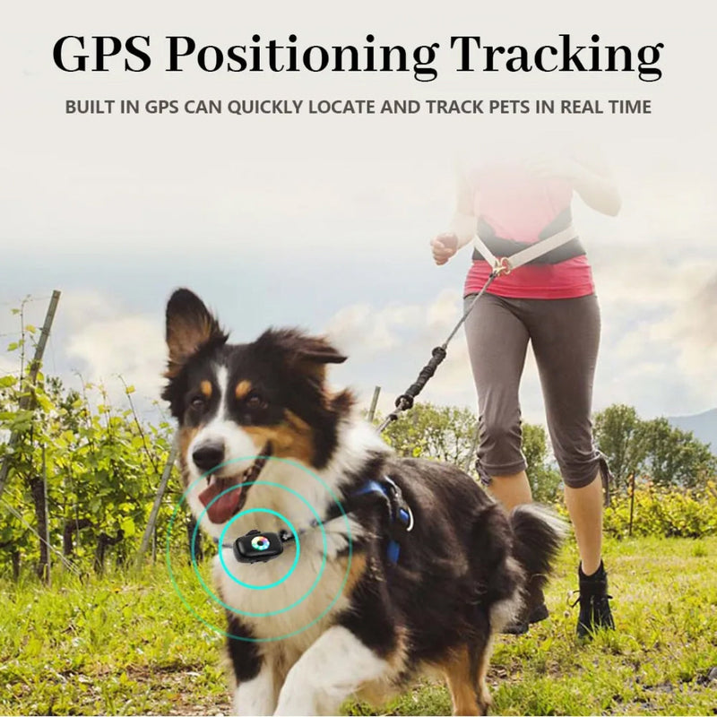 CatMaxe GPS Cat Tracker