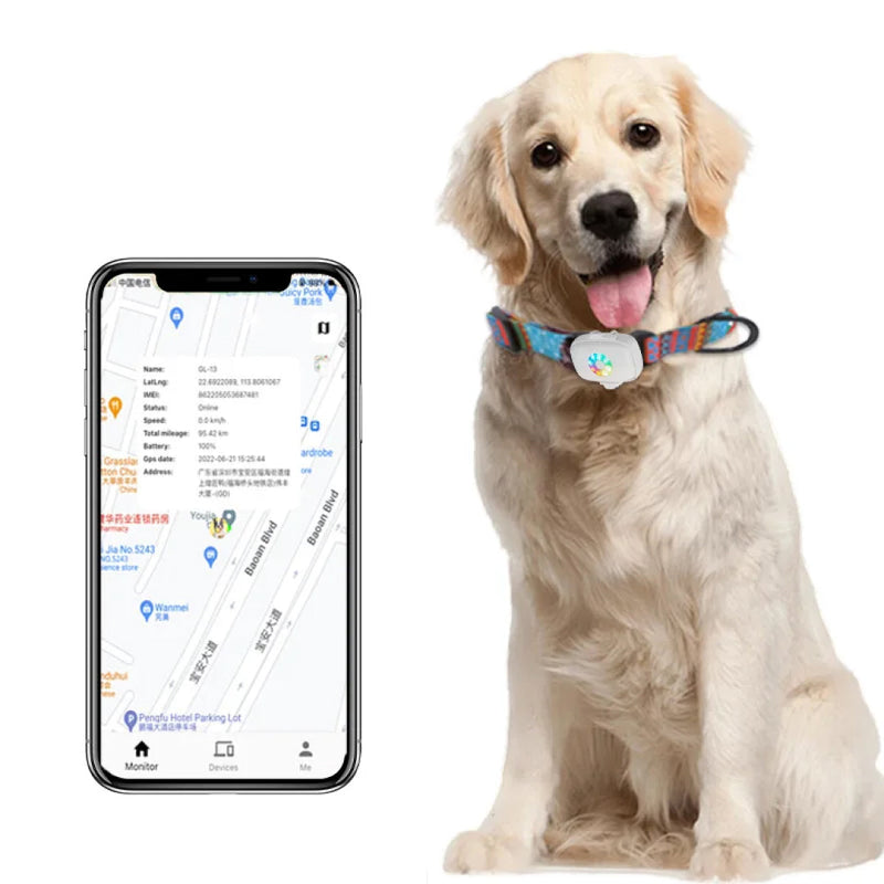 CatMaxe GPS Cat Tracker