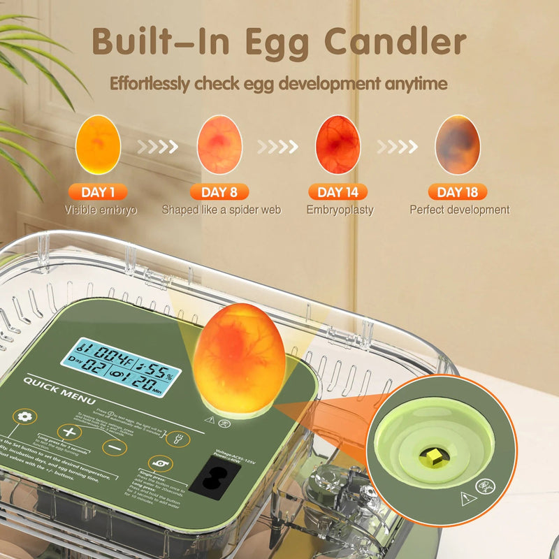 Hatchivax Egg Incubator
