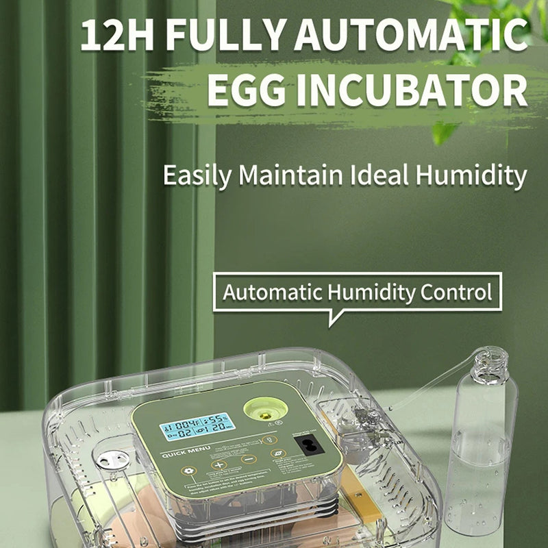 Hatchivax Egg Incubator