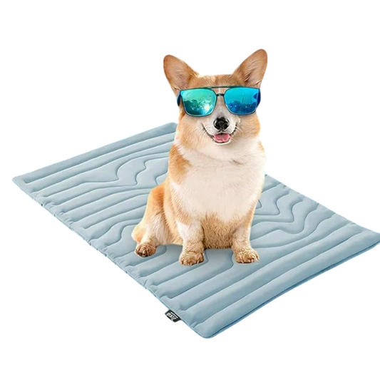 PawFroste