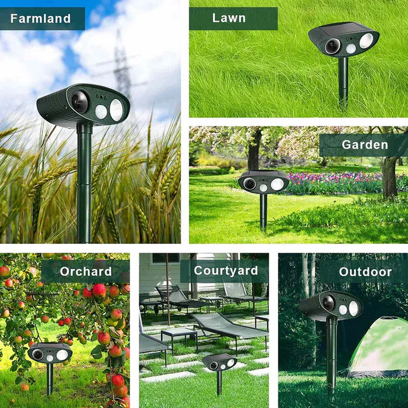 PestiqPaw Cat Deterrent For Garden UK