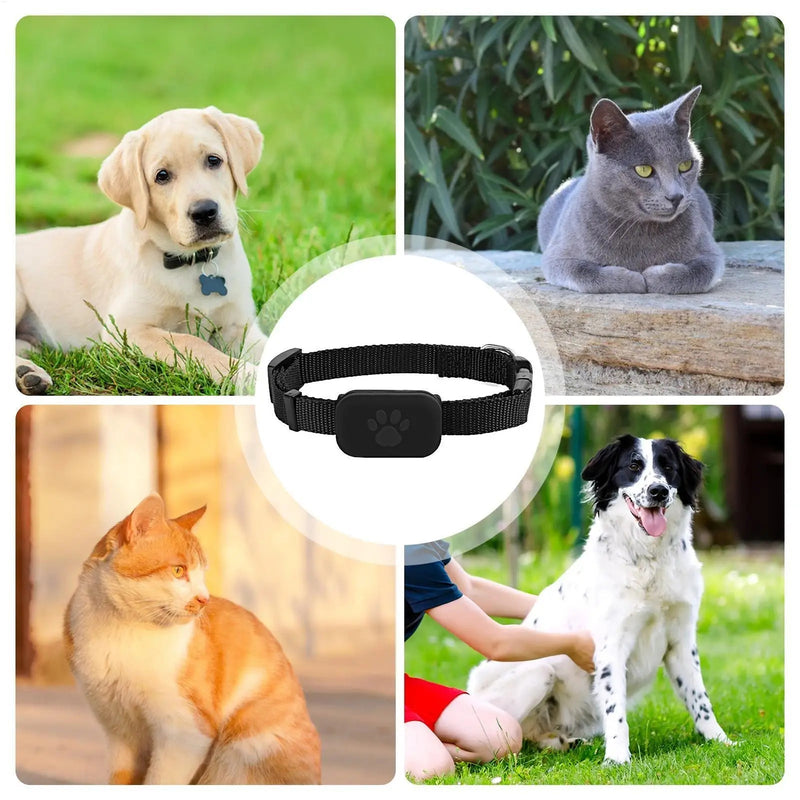 Pupramix Dog GPS Tracker