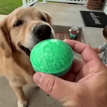 Rodeniac Rodent Repellent Balls