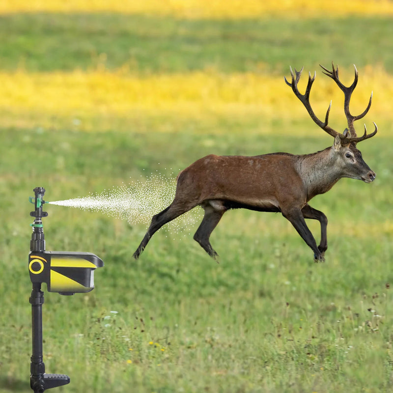 Sprixcle Motion Activated Sprinkler